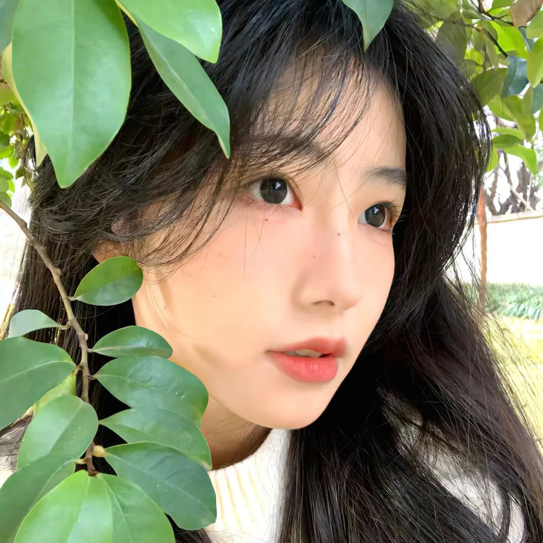 秦时明月之龙腾万里
